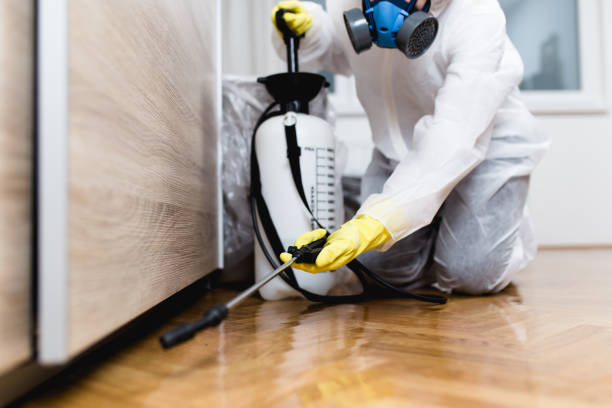 Best Best Pest Control Companies  in Lawrenceburg, TN