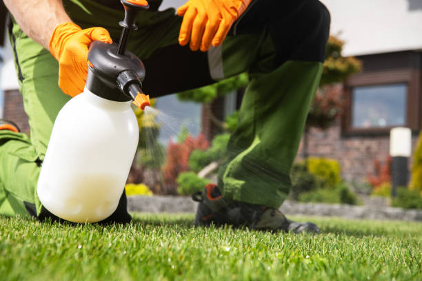 Best Best Pest Control Companies  in Lawrenceburg, TN