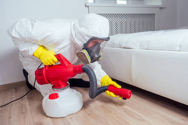 Best Flea Control Services  in Lawrenceburg, TN