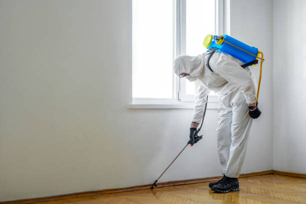 Pest Control for Restaurants in Lawrenceburg, TN