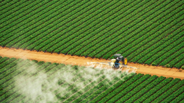 Best Ant Control Services  in Lawrenceburg, TN