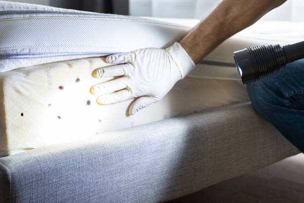 Best Emergency Pest Control  in Lawrenceburg, TN